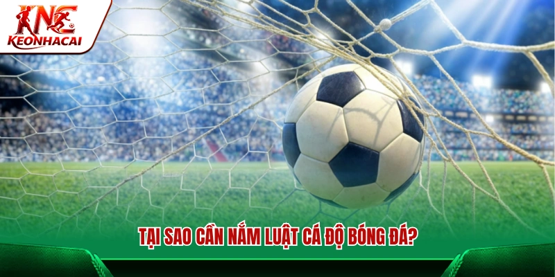 Vì sao việc hiểu rõ luật cá độ bóng đá lại quan trọng?