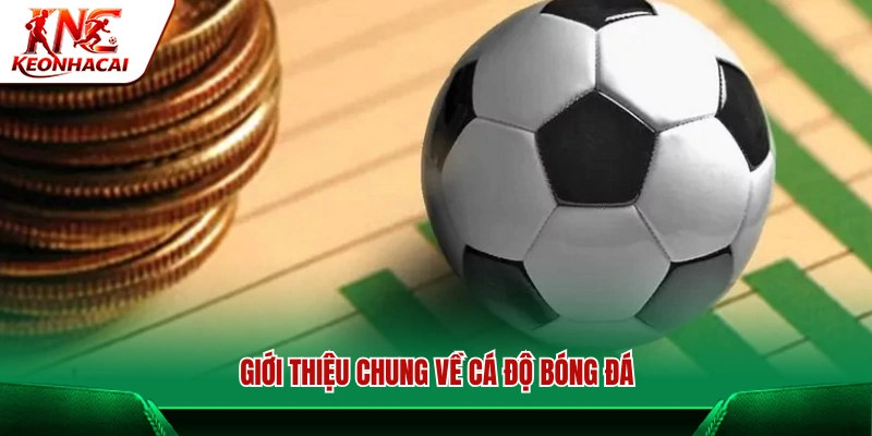 Tổng quan hình thức cá cược bóng đá